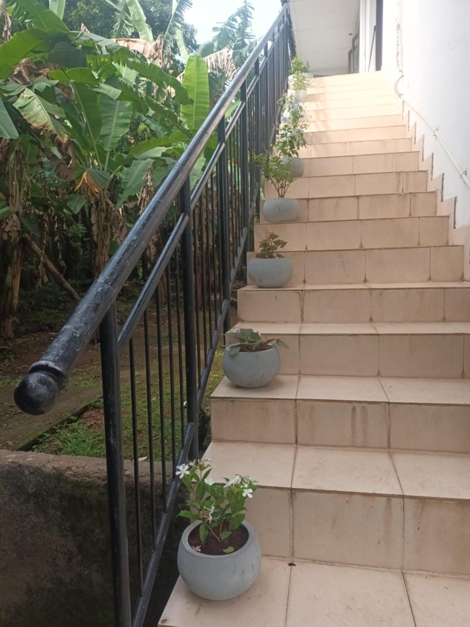 Lovely Flowers In Mount Lavinia Дехивала-Маунт-Лавиния Экстерьер фото